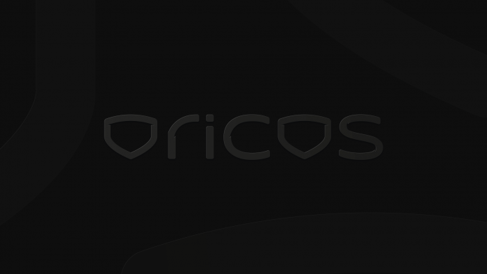 Oricos - Gestão em Cibersegurança